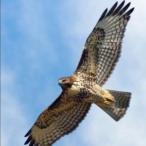 Meet your Posher, Javier